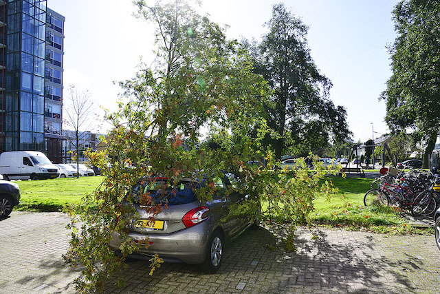 2017/201/20171005-14u04 GB 002 Stormschade Einsteinlaan.jpg